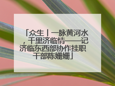 众生丨一脉黄河水，千里济临情——记济临东西部协作挂职干部陈姗姗