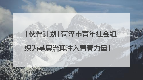 伙伴计划│菏泽市青年社会组织为基层治理注入青春力量
