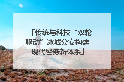 传统与科技“双轮驱动”冰城公安构建现代警务新体系