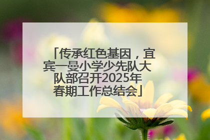 传承红色基因，宜宾一曼小学少先队大队部召开2025年春期工作总结会
