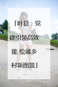 叶县：党建引领高效能 绘就乡村新图景