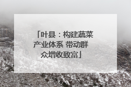 叶县：构建蔬菜产业体系 带动群众增收致富