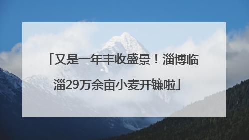 又是一年丰收盛景！淄博临淄29万余亩小麦开镰啦