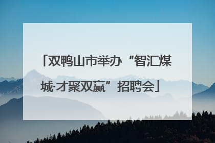双鸭山市举办“智汇煤城·才聚双赢”招聘会