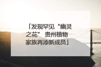 发现罕见“幽灵之花” 贵州植物家族再添新成员