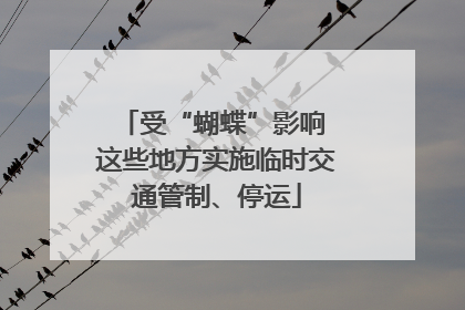 受“蝴蝶”影响 这些地方实施临时交通管制、停运