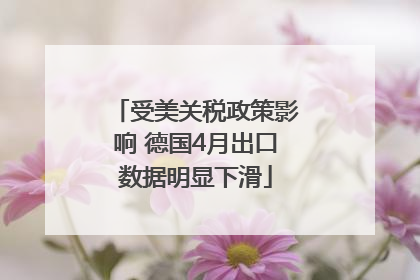 受美关税政策影响 德国4月出口数据明显下滑
