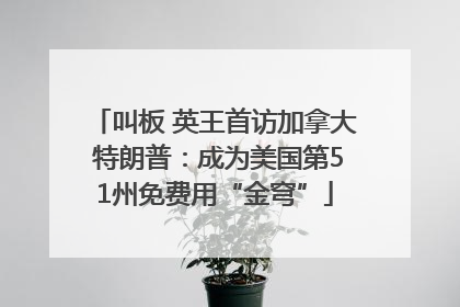 叫板 英王首访加拿大 特朗普：成为美国第51州免费用“金穹”