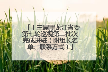 十三届黑龙江省委第七轮巡视第二批次完成进驻（附组长名单、联系方式）