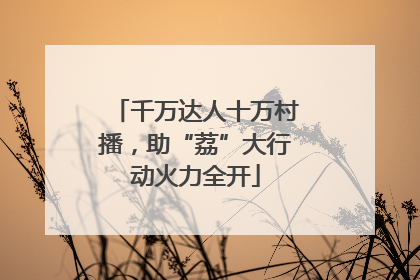 千万达人十万村播，助“荔”大行动火力全开