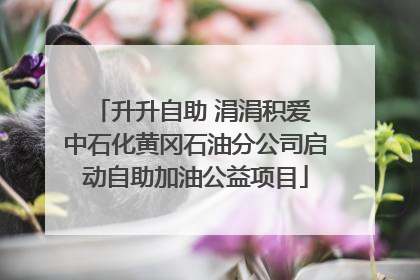 升升自助 涓涓积爱 中石化黄冈石油分公司启动自助加油公益项目
