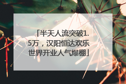 半天人流突破1.5万，汉阳恒达欢乐世界开业人气爆棚