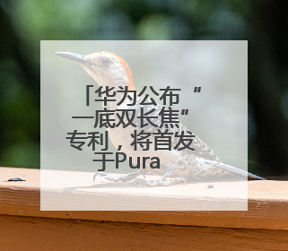 华为公布“一底双长焦”专利，将首发于Pura 80系列