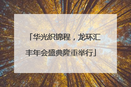 华光织锦程，龙环汇丰年会盛典隆重举行