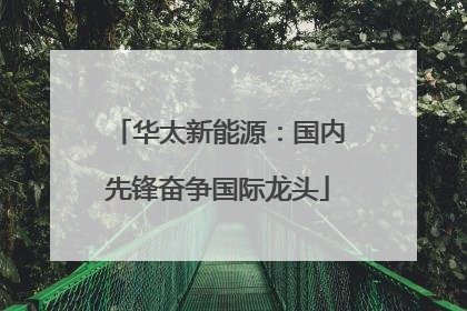 华太新能源：国内先锋奋争国际龙头