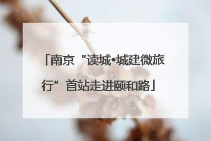 南京“读城•城建微旅行”首站走进颐和路