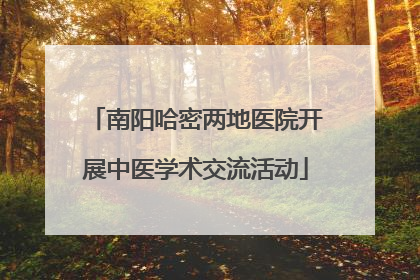 南阳哈密两地医院开展中医学术交流活动