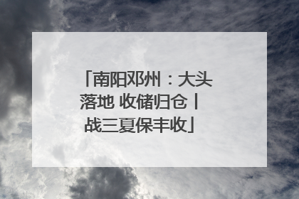 南阳邓州：大头落地 收储归仓丨战三夏保丰收