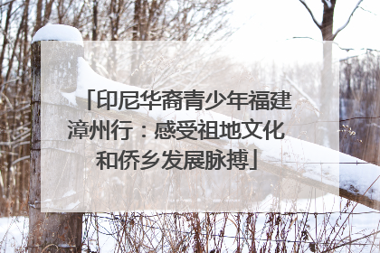印尼华裔青少年福建漳州行：感受祖地文化和侨乡发展脉搏