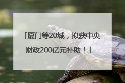 厦门等20城，拟获中央财政200亿元补助！