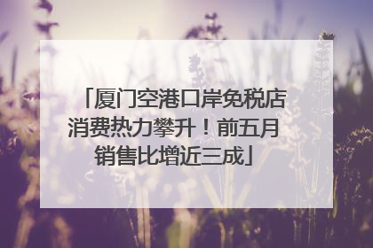 厦门空港口岸免税店消费热力攀升！前五月销售比增近三成