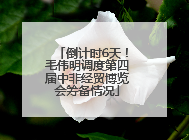 倒计时6天！毛伟明调度第四届中非经贸博览会筹备情况