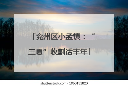 兖州区小孟镇：“三夏”收割话丰年