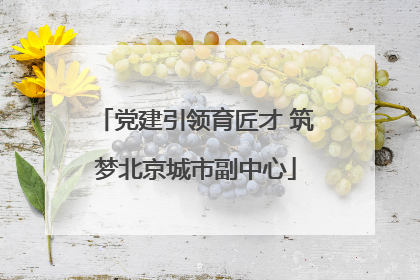 党建引领育匠才 筑梦北京城市副中心