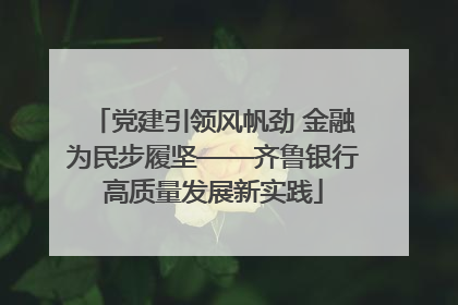 党建引领风帆劲 金融为民步履坚——齐鲁银行高质量发展新实践