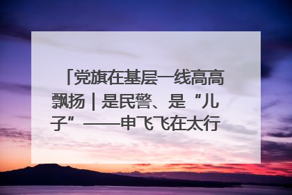 党旗在基层一线高高飘扬｜是民警、是“儿子”——申飞飞在太行山中的一线坚守