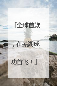 全球首款，在芜湖成功首飞！