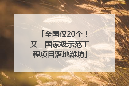 全国仅20个！又一国家级示范工程项目落地潍坊