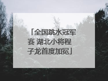 全国跳水冠军赛 湖北小将程子龙首度加冕