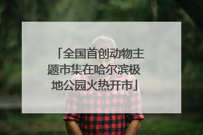 全国首创动物主题市集在哈尔滨极地公园火热开市