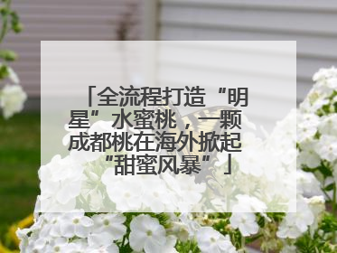 全流程打造“明星”水蜜桃，一颗成都桃在海外掀起“甜蜜风暴”