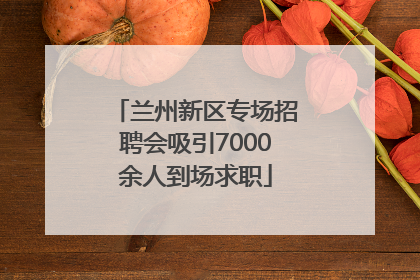 兰州新区专场招聘会吸引7000余人到场求职
