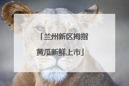 兰州新区拇指黄瓜新鲜上市