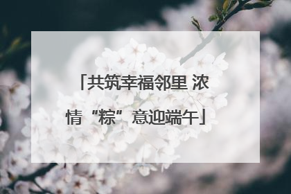 共筑幸福邻里 浓情“粽”意迎端午