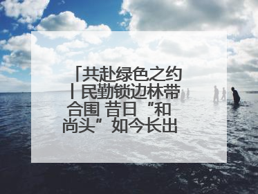 共赴绿色之约丨民勤锁边林带合围 昔日“和尚头”如今长出了“披肩发”