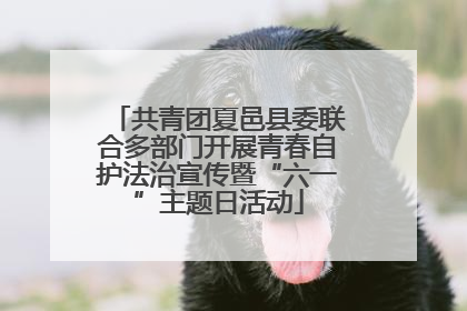 共青团夏邑县委联合多部门开展青春自护法治宣传暨“六一”主题日活动