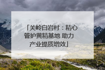 关岭白岩村：精心管护黄精基地 助力产业提质增效