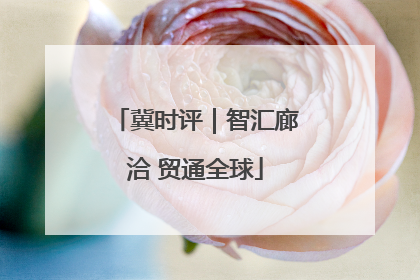 冀时评｜智汇廊洽 贸通全球