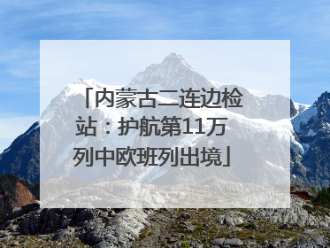 内蒙古二连边检站：护航第11万列中欧班列出境