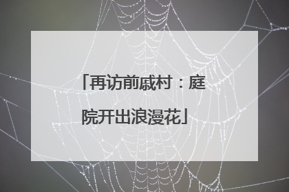 再访前戚村：庭院开出浪漫花