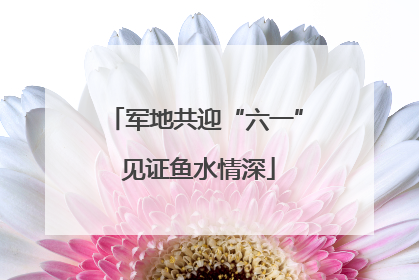 军地共迎“六一” 见证鱼水情深