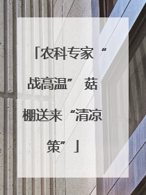农科专家“战高温” 菇棚送来“清凉策”