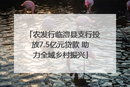 农发行临澧县支行投放7.5亿元贷款 助力全域乡村振兴