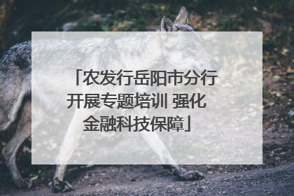 农发行岳阳市分行开展专题培训 强化金融科技保障