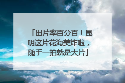 出片率百分百！昆明这片花海美炸啦，随手一拍就是大片