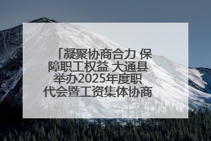 凝聚协商合力 保障职工权益 大通县举办2025年度职代会暨工资集体协商现场观摩交流活动